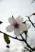 201001280879m.jpg - 2010:01:28 13:29:41