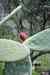 201001280883m.jpg - 2010:01:28 13:32:41