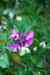 201001280903m.jpg - 2010:01:28 14:02:36