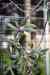 201001280906m.jpg - 2010:01:28 14:12:14