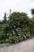 201001280907m.jpg - 2010:01:28 14:12:51