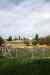 201001280919m.jpg - 2010:01:28 14:37:30