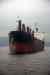 201001281019m.jpg - 2010:01:28 16:25:10