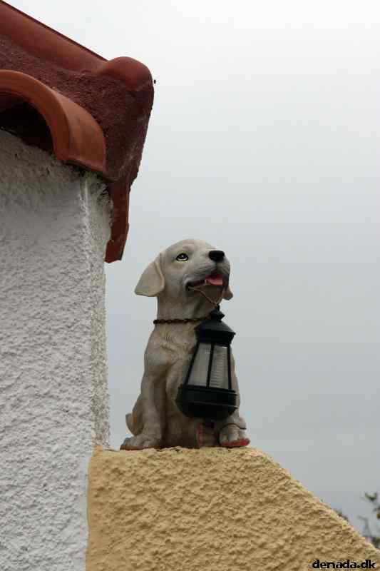 * Image 93