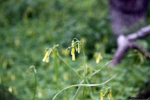 * Image 95