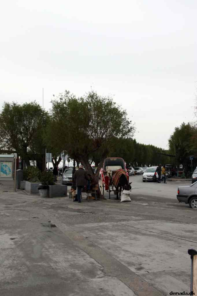 * Image 39
