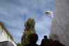 201001291110m.jpg - 2010:01:29 10:41:30
