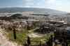 201001291197m.jpg - 2010:01:29 11:45:23