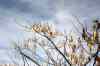 201001291280m.jpg - 2010:01:29 12:23:30