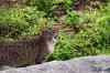 201001291302m.jpg - 2010:01:29 13:09:01