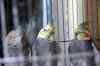 201001291325m.jpg - 2010:01:29 13:39:38