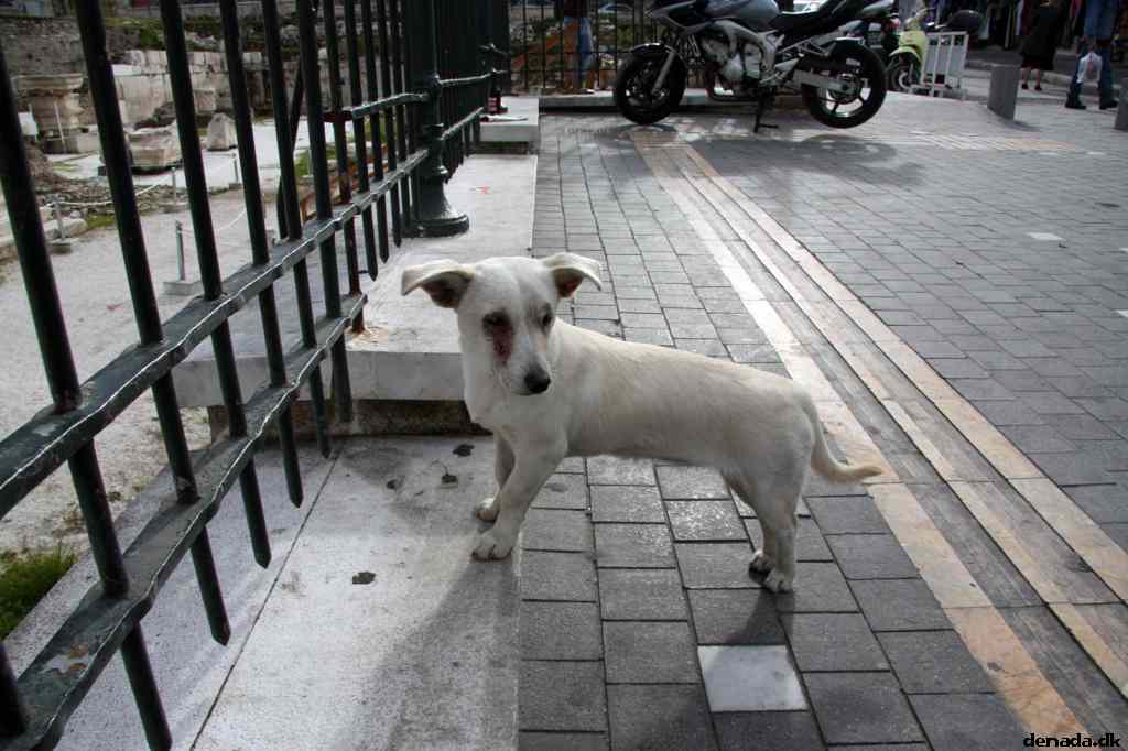* Image 143