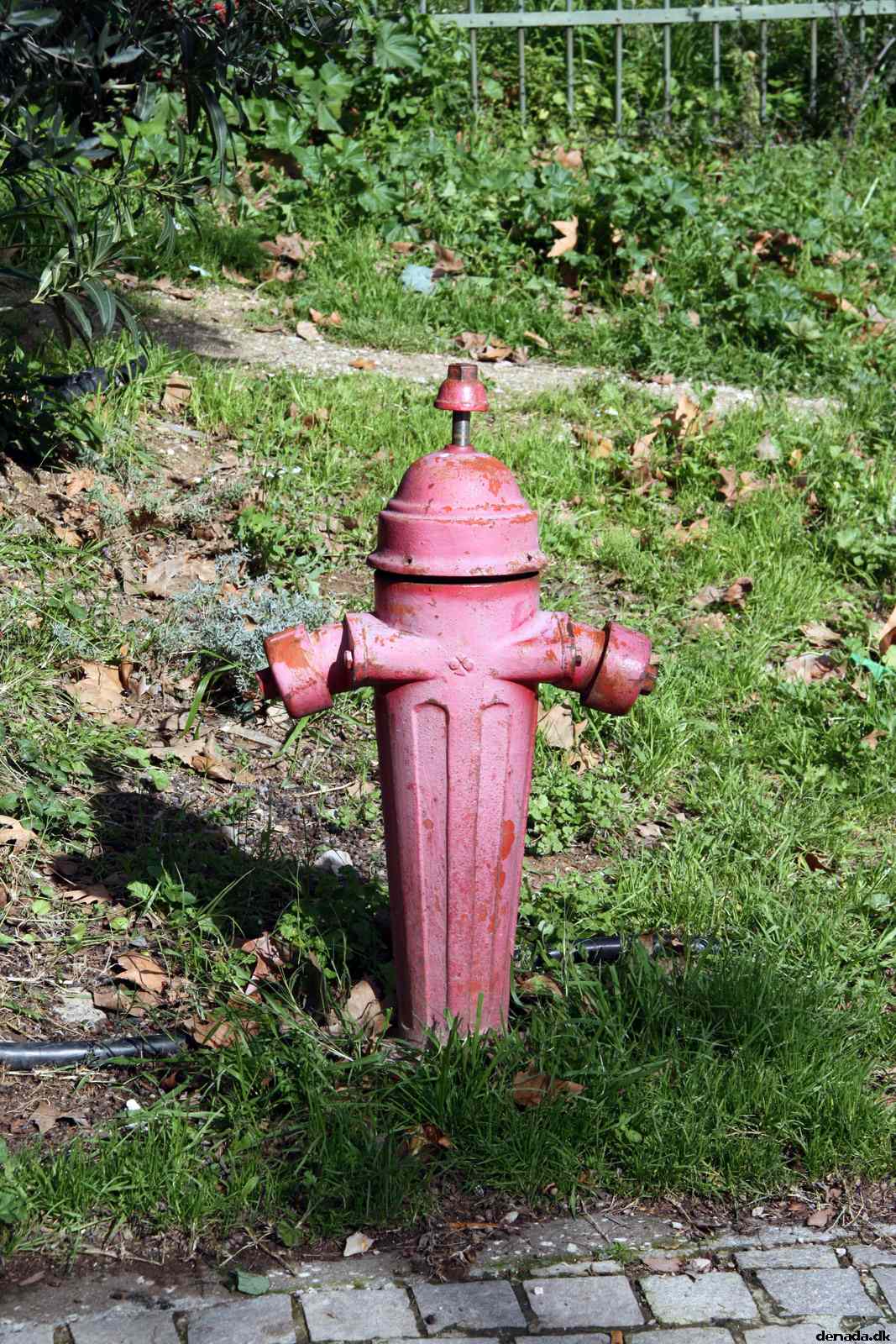 * Image 11