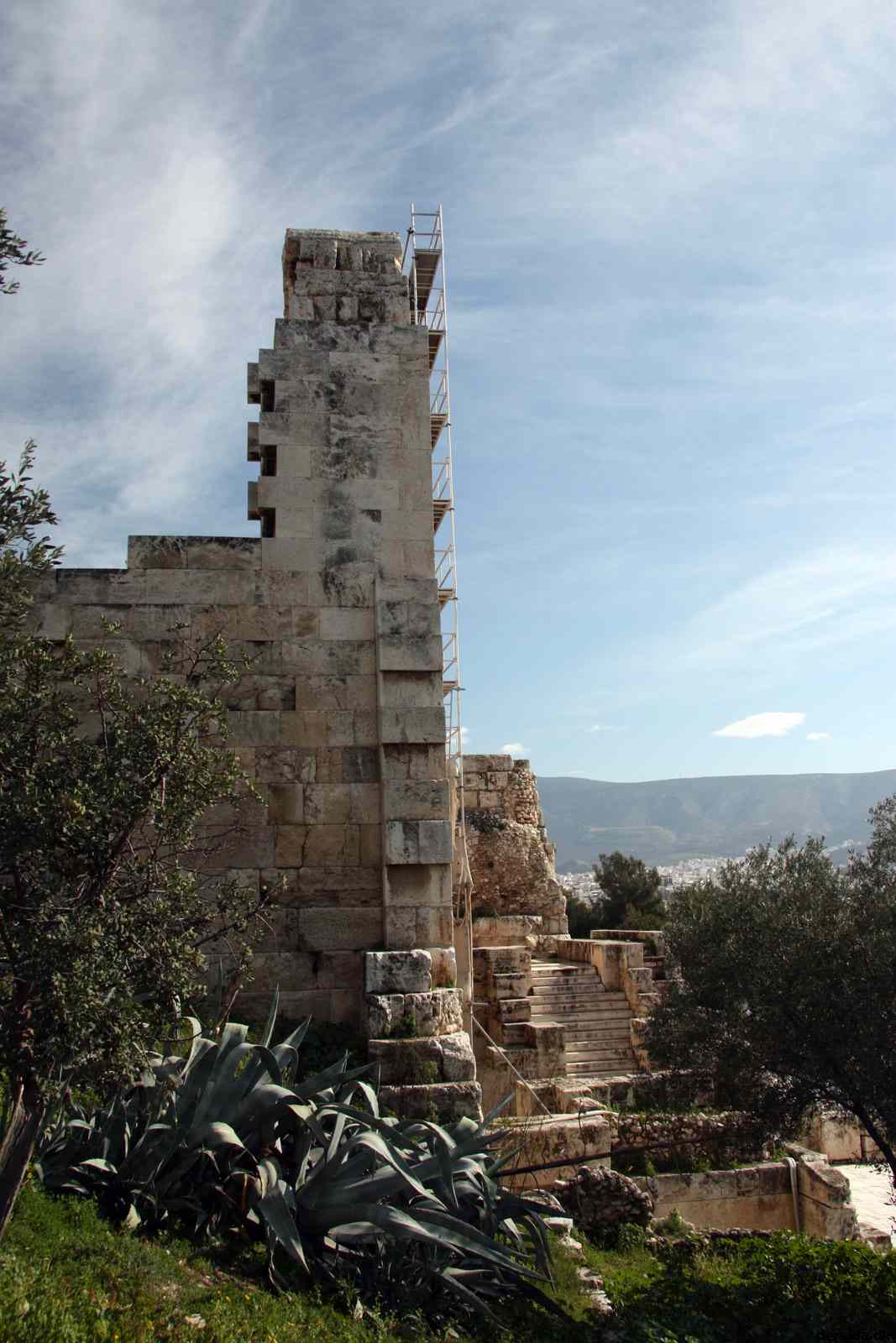 * Image 21