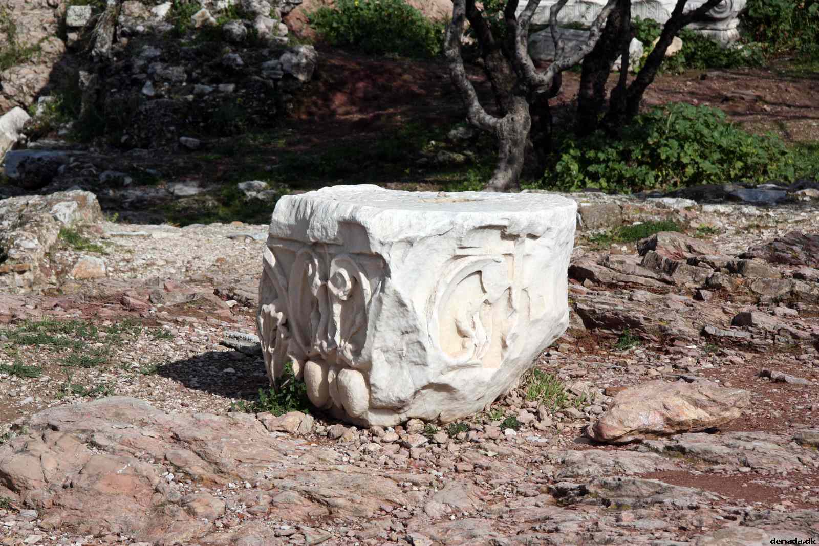 * Image 24