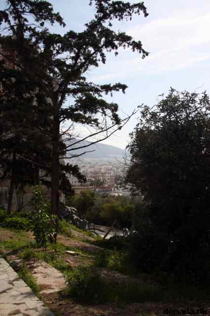 * Image 22