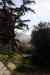 201001291128m.jpg - 2010:01:29 11:07:03