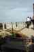201001291132m.jpg - 2010:01:29 11:11:51