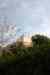 201001291273m.jpg - 2010:01:29 12:16:58