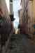 201001291279m.jpg - 2010:01:29 12:22:47