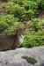 201001291301m.jpg - 2010:01:29 13:08:52