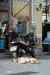 201001291310m.jpg - 2010:01:29 13:22:02