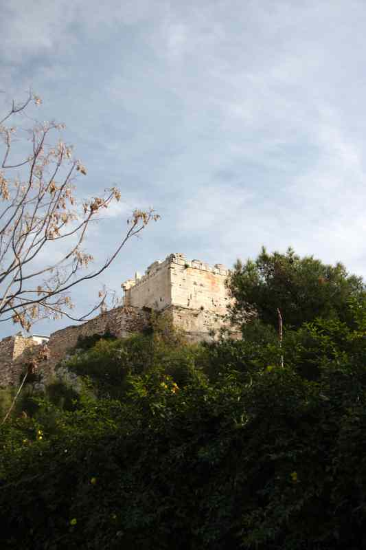 * Image 114