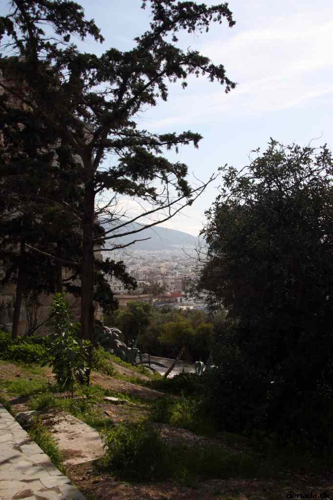 * Image 22