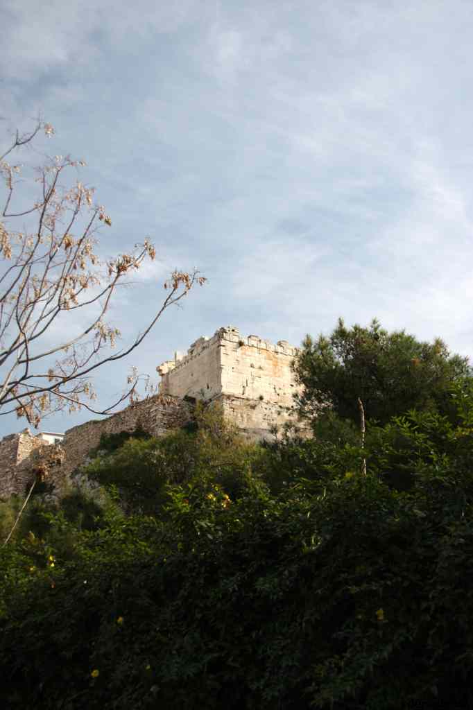 * Image 114