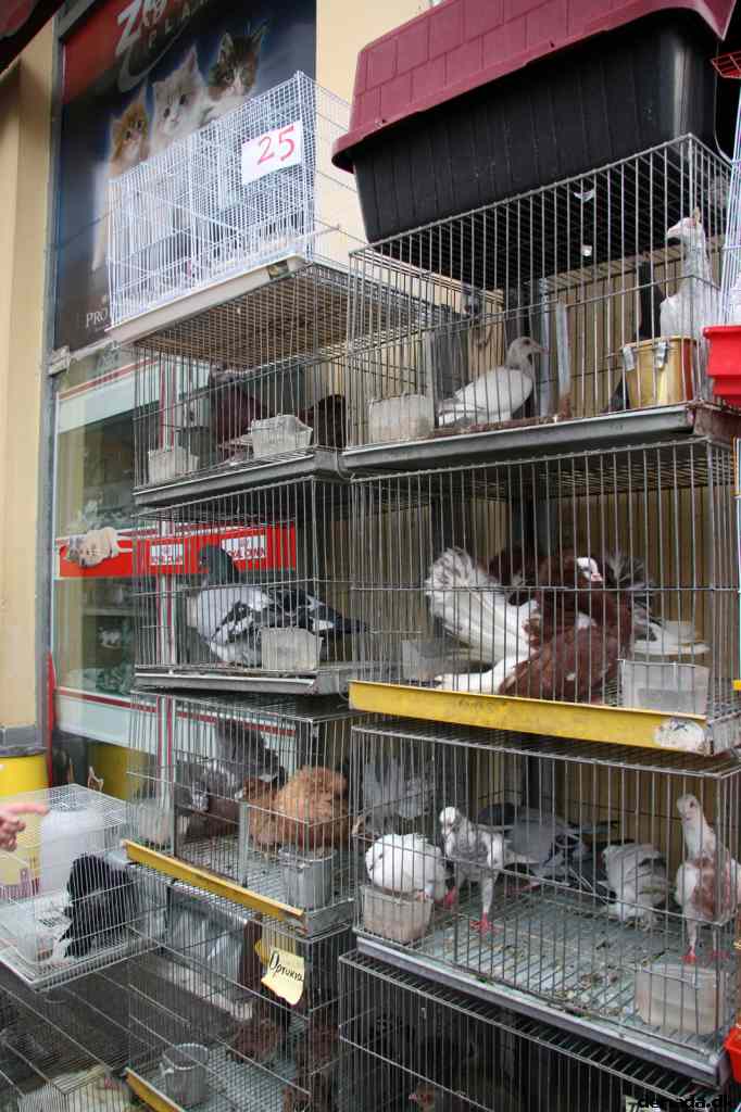 * Image 152