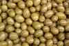 201001301349m.jpg - 2010:01:30 10:24:27