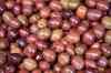 201001301350m.jpg - 2010:01:30 10:24:42