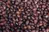 201001301353m.jpg - 2010:01:30 10:25:58