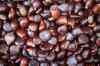 201001301368m.jpg - 2010:01:30 10:34:00