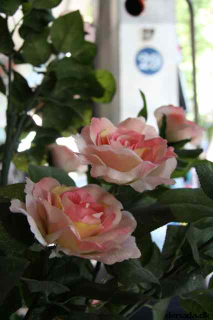 * Image 54