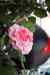 201001301395m.jpg - 2010:01:30 11:01:15