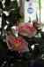 201001301398m.jpg - 2010:01:30 11:01:39