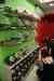 201001301417m.jpg - 2010:01:30 11:53:40