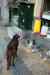 201001301424m.jpg - 2010:01:30 12:13:28
