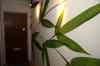 201002100009m.jpg - 2010:02:10 14:38:31