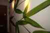 201002100012m.jpg - 2010:02:10 14:39:29