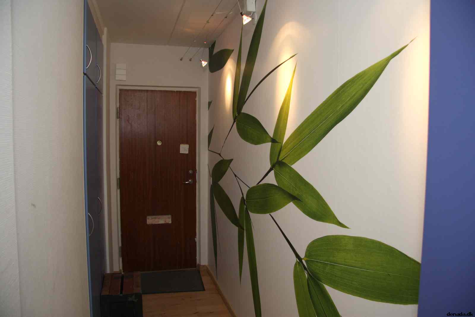 * Image 2