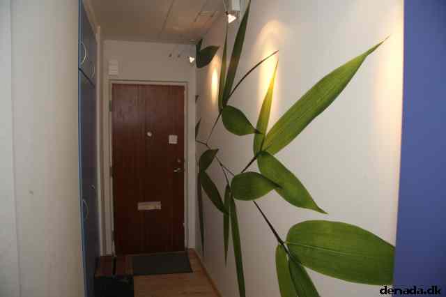 * Image 2