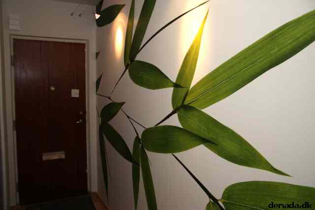 * Image 3