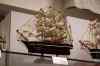 201002210015m.jpg - 2010:02:21 15:44:09