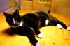 201003070125m.jpg - 2010:03:07 17:56:16