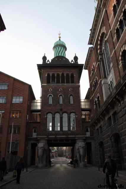 * Image 5