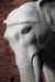 201003070115m.jpg - 2010:03:07 17:11:23