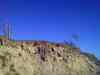 20100424_181032m.jpg - 2010:04:24 18:10:32