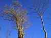 20100424_182454m.jpg - 2010:04:24 18:24:54
